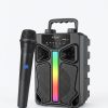 Portable Wireless Speaker with Mic